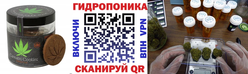 Печенье с ТГК марихуана  купить наркотики цена  Лермонтов 