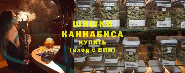 гидра Горнозаводск