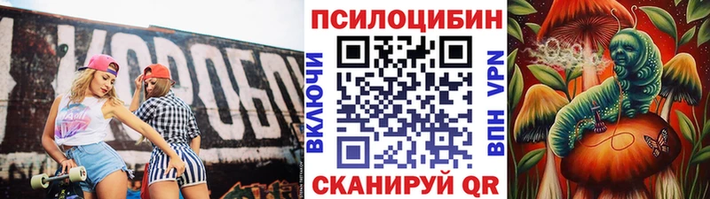 Псилоцибиновые грибы MAGIC MUSHROOMS купить наркоту Лермонтов